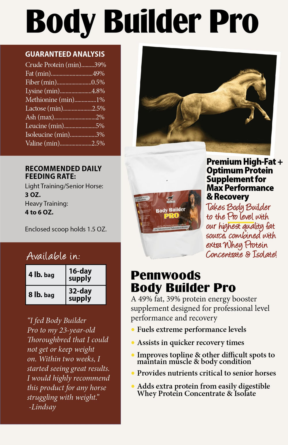 Pennwoods Body Builder Pro apoyo para caballos mayores