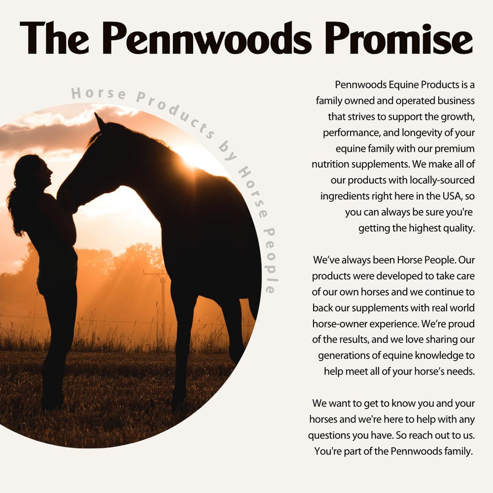 Pennwoods Body Builder Pro energía sostenida para caballos en trabajo