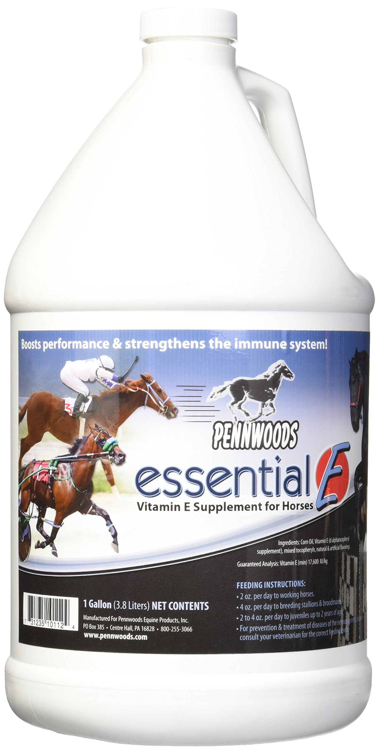 Pennwoods Essential E, caballo en entrenamiento, apoyo posible al rendimiento.