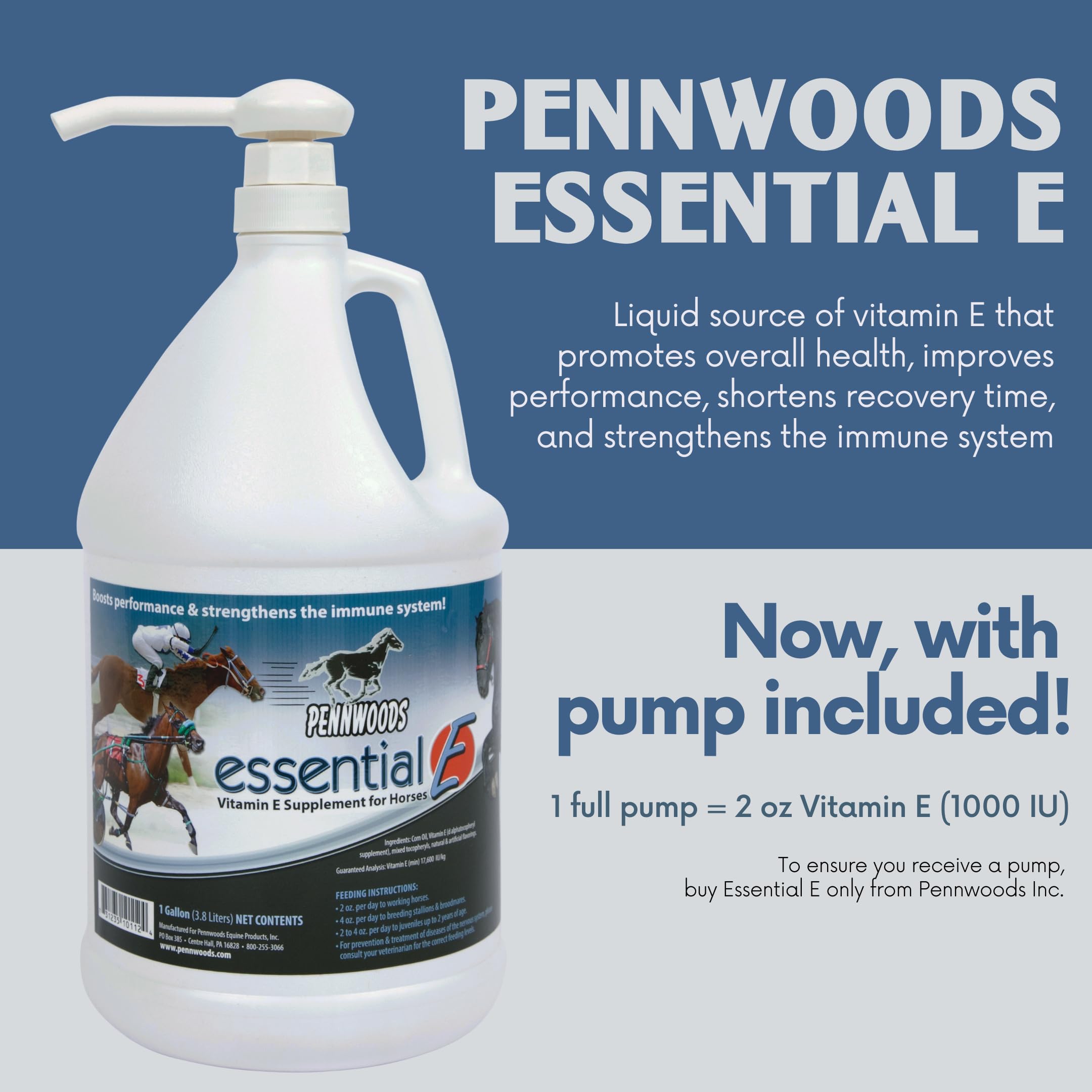 Pennwoods Essential E, foco en rendimiento y recuperación del caballo durante trabajo.