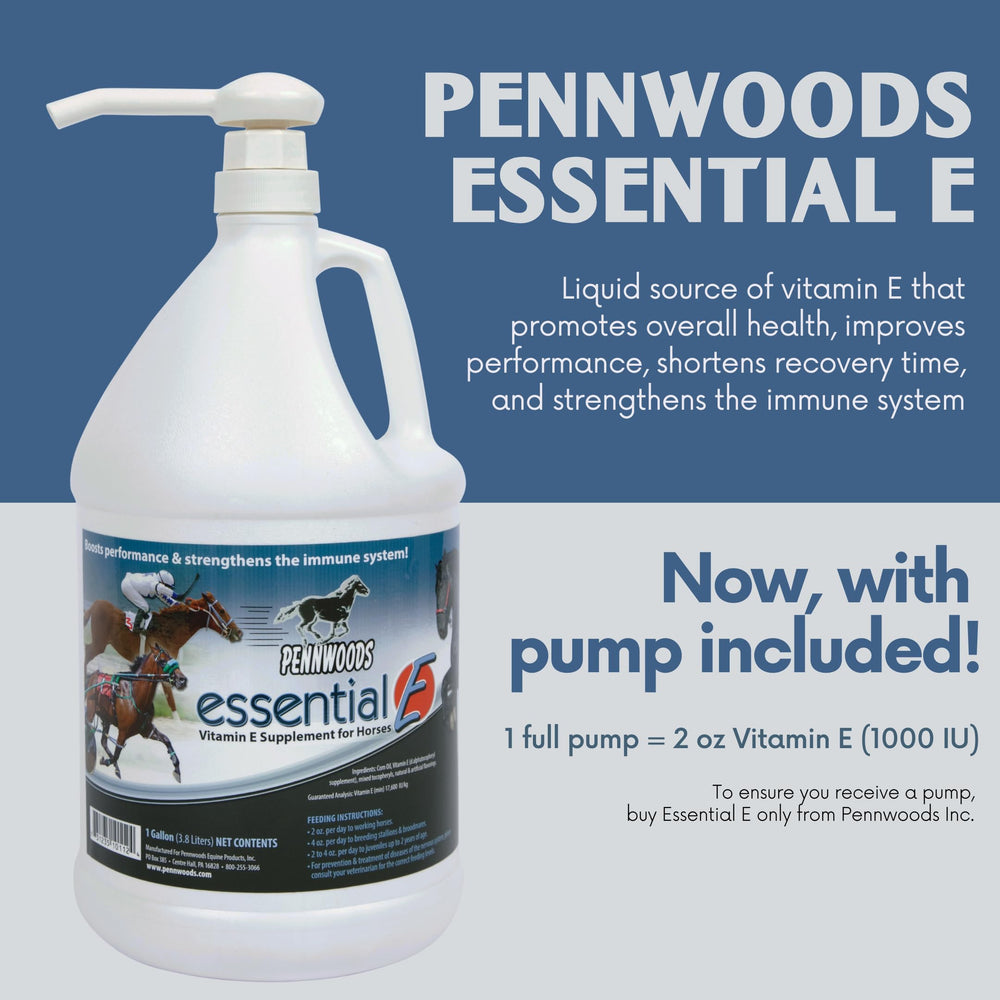 Pennwoods Essential E, foco en rendimiento y recuperación del caballo durante trabajo.