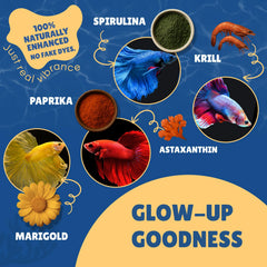 Betta Boost Pops: sin maíz, soja ni guisantes para una dieta carnívora.