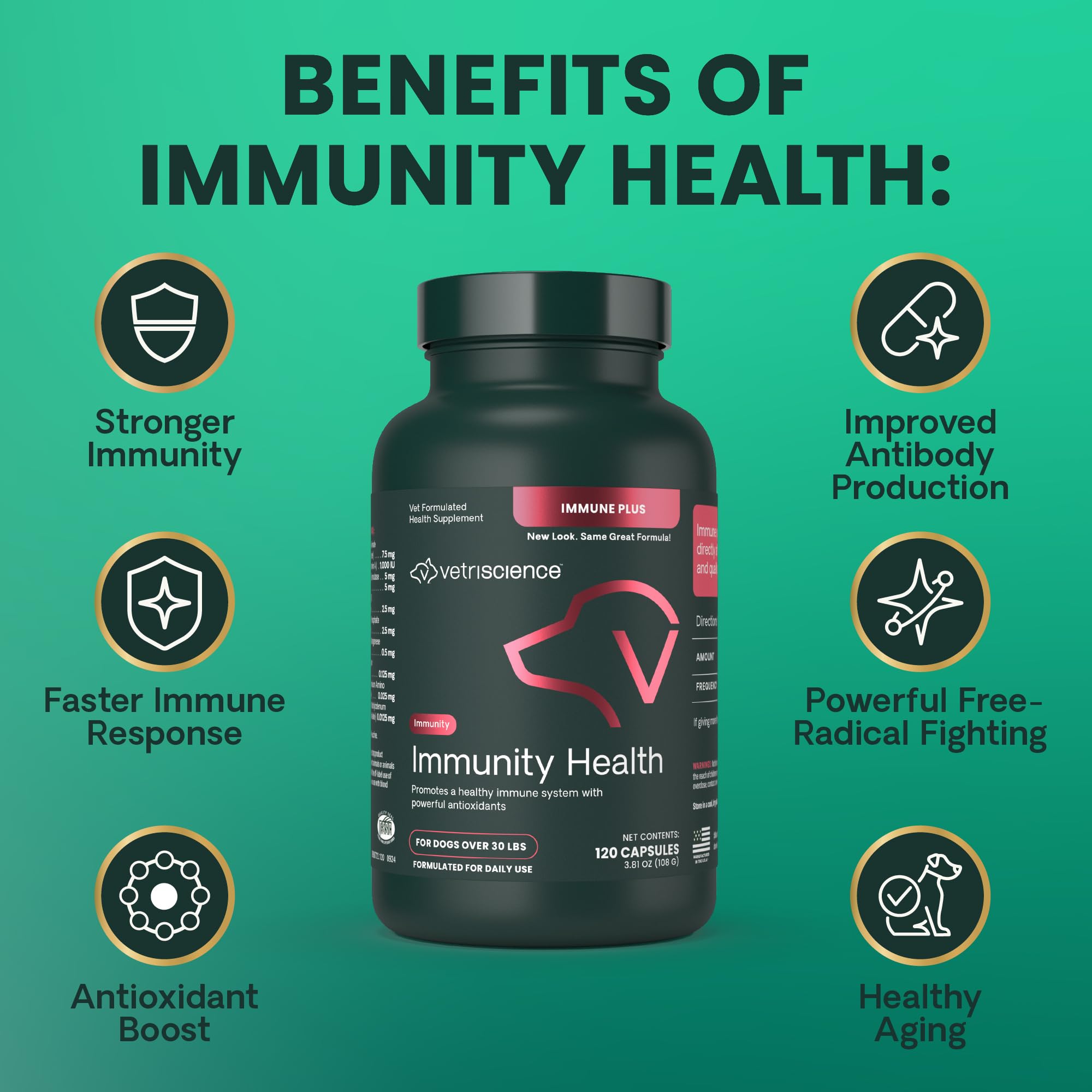 Perro comiendo alimento con Immunity Health para vitalidad diaria.