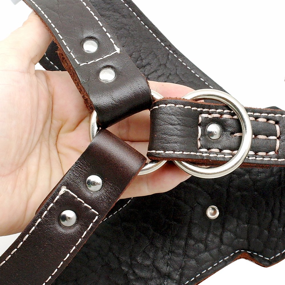 PET ARTIST perfecto para razas medianas y grandes en paseos diarios.