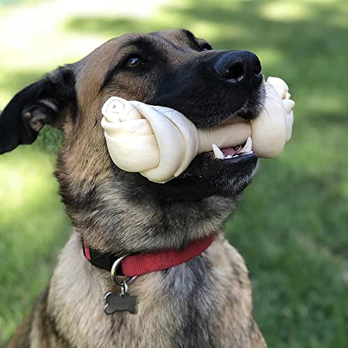 Pet Factory Paquete de 24 unidades: opción de compra conveniente.