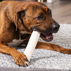 Pet Factory Rollos de cuero natural 8-9 pulgadas para juego y masticado