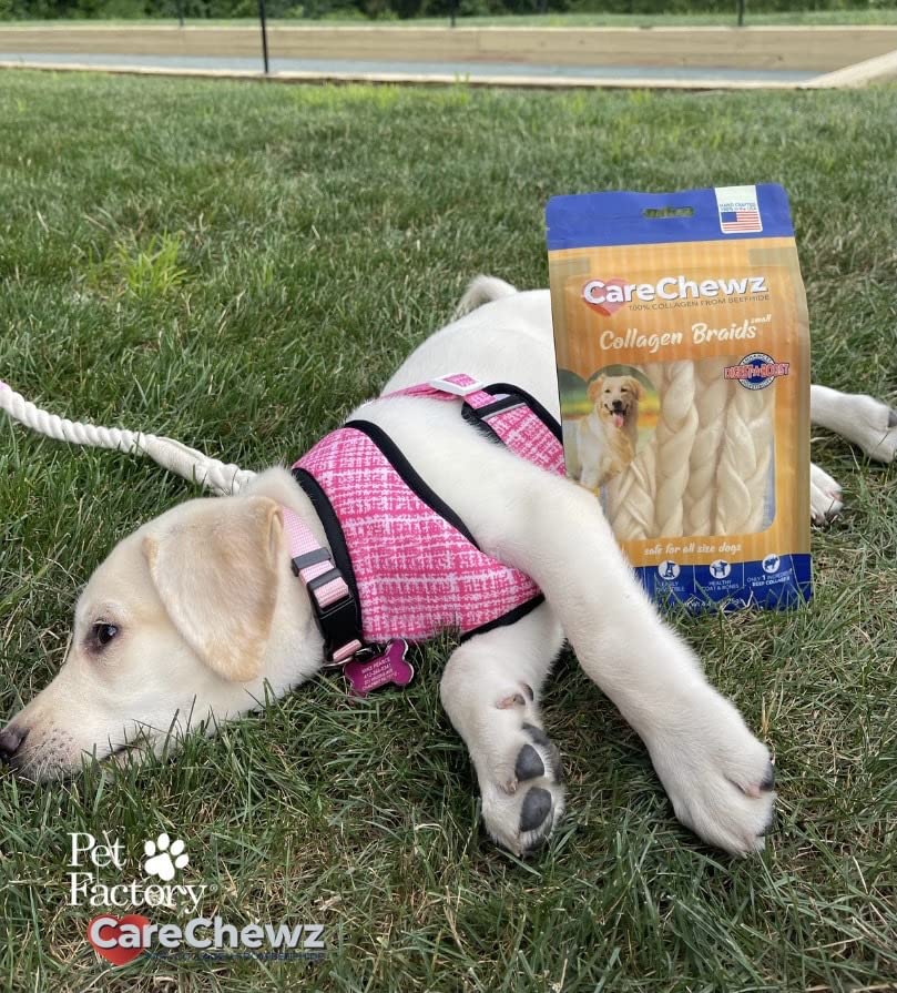 Pack de cinco palitos trenzados para uso diario en perros activos.