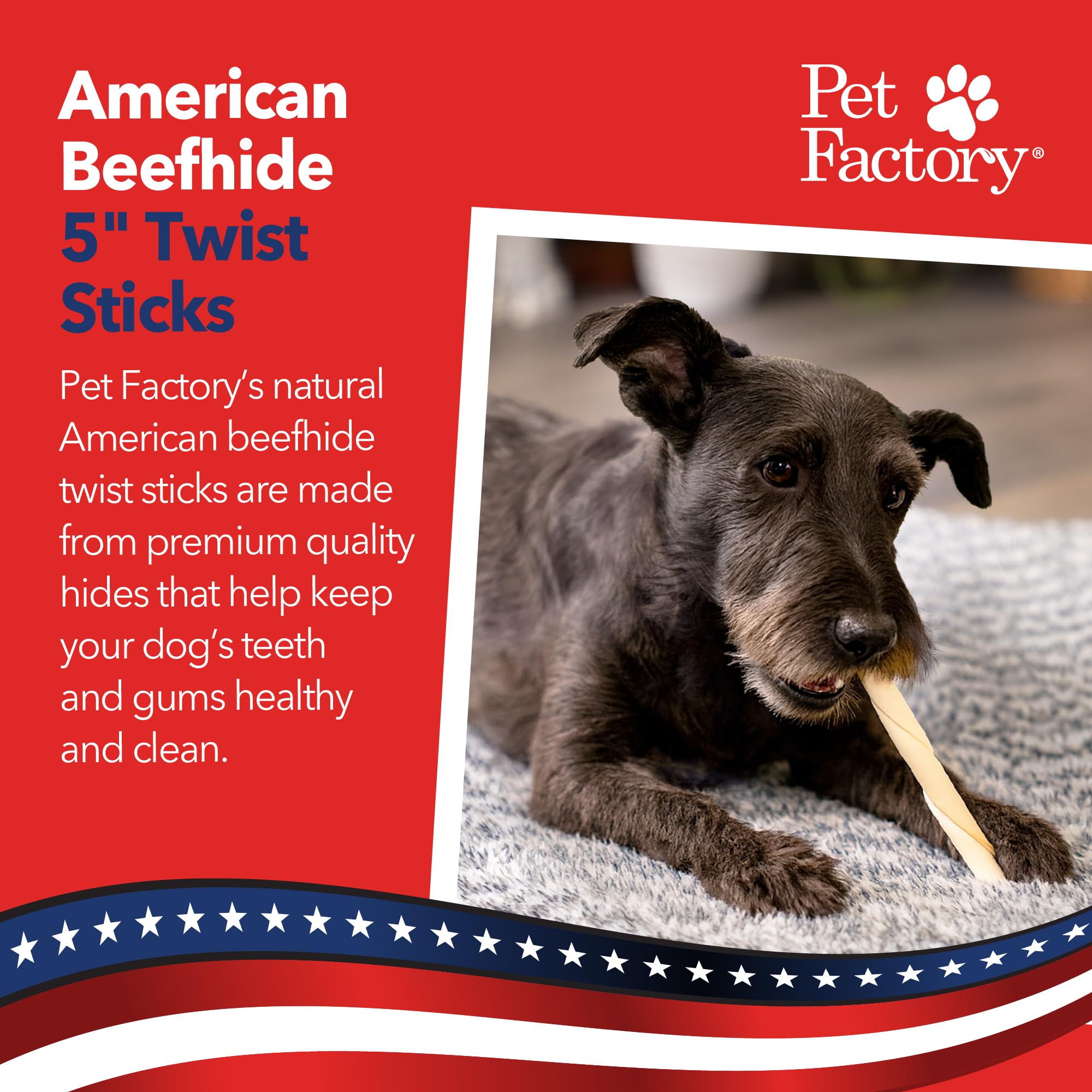Pet Factory cuidado oral para perros: hueso dental natural para masticación diaria