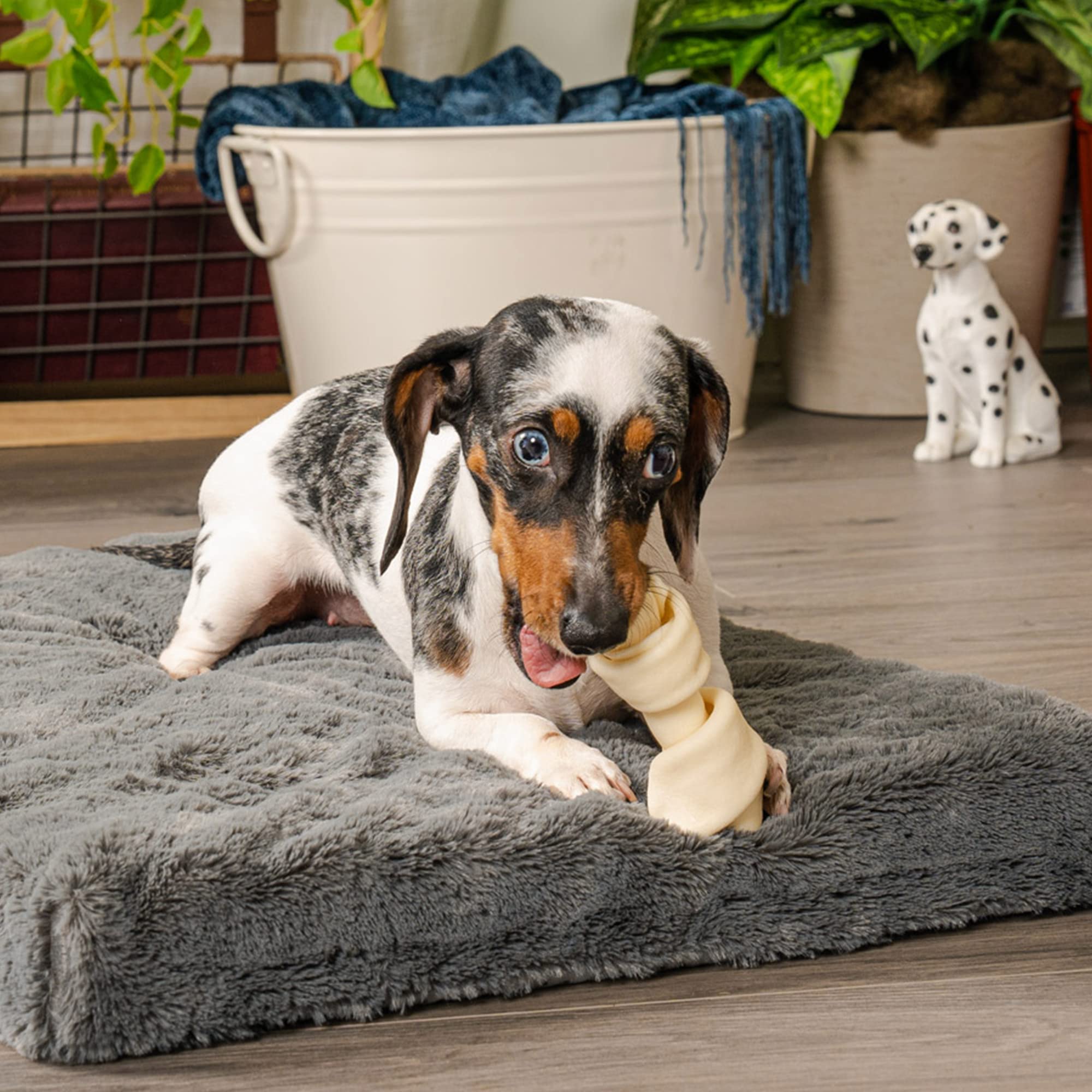 Pet Factory Masticable de res, ayuda a la higiene bucal de tu perro.