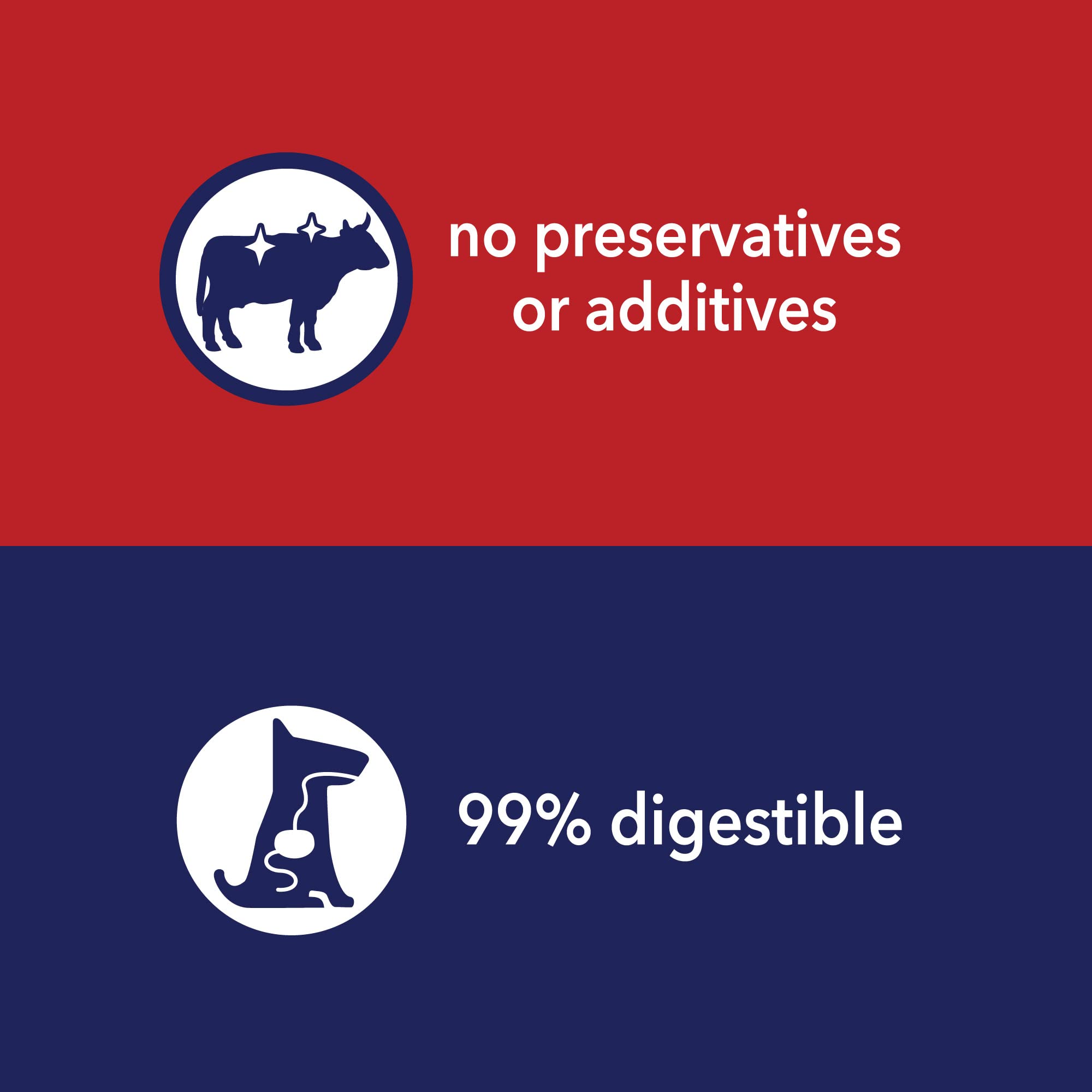 Pet Factory: masticables dentales para perros, opción digestible para juego diario.