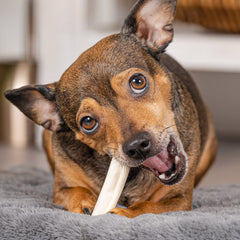Pet Factory mini-rollos beefhide en empaque natural, buen sabor para perros.