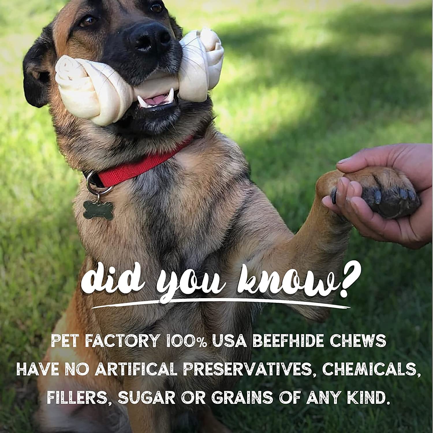 Pet Factory Sabor natural: experiencia de masticación agradable para perros.