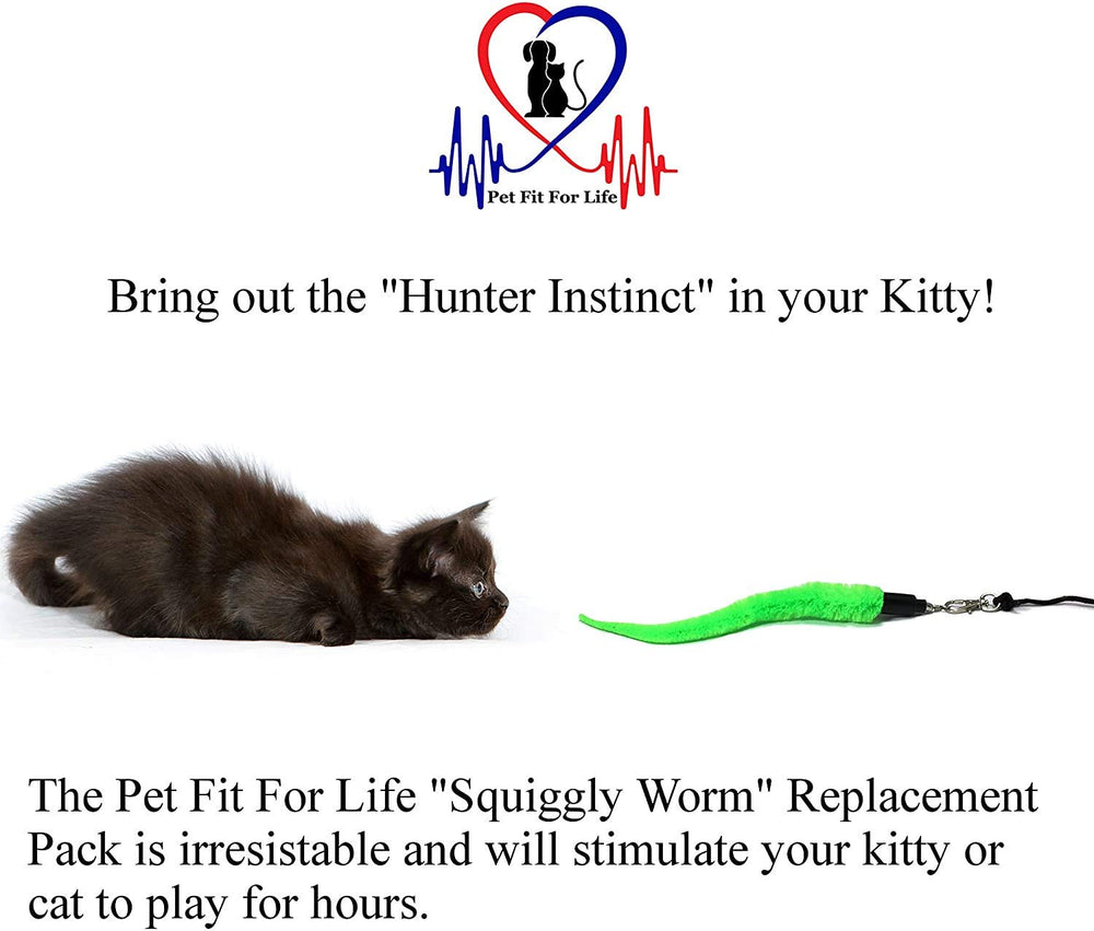 Pet Fit For Life juego interactivo en interiores para gatos curiosos