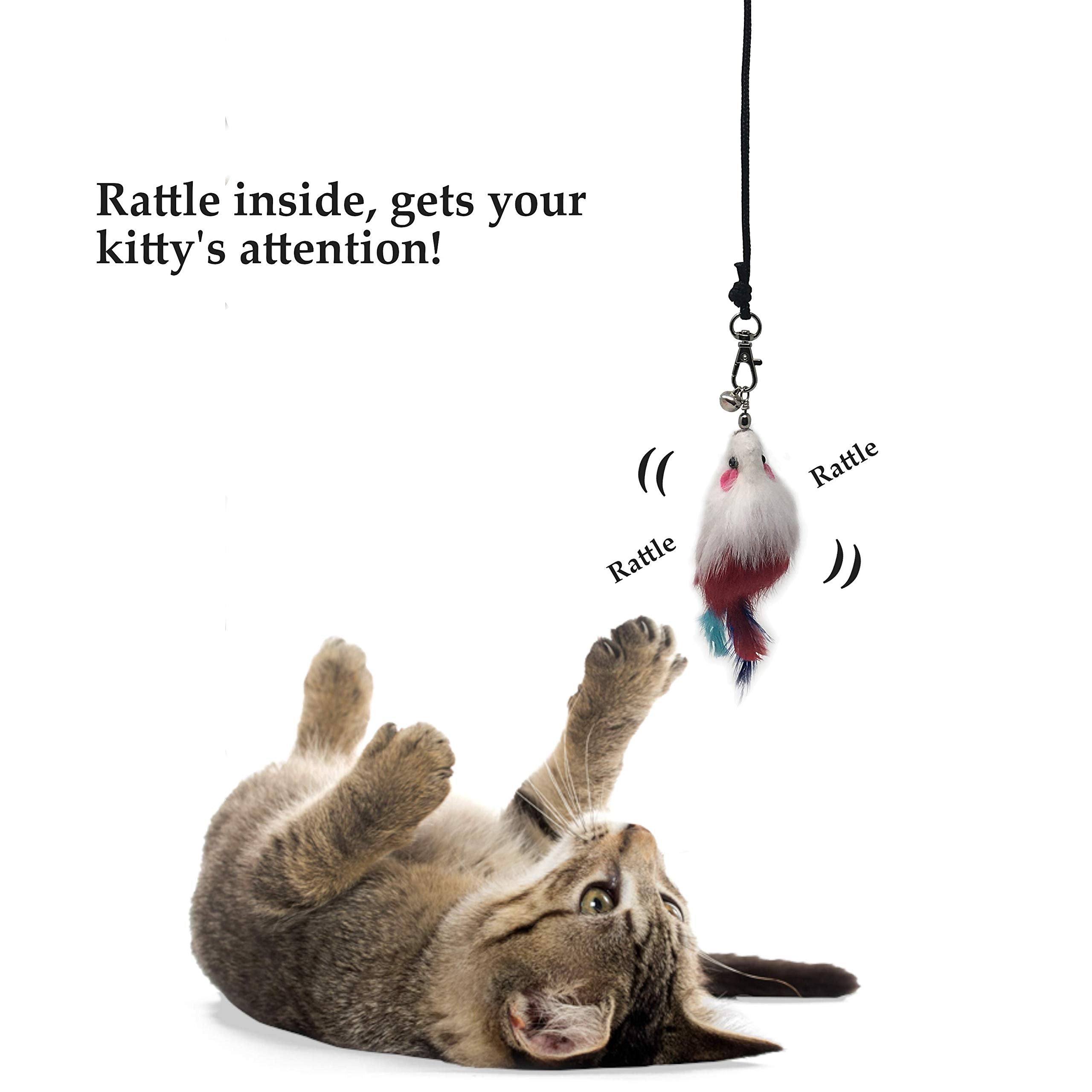 Pet Fit For Life refuerzo de juguete para gatitos, variedad y diversión.