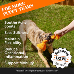 Pet Honesty aceite de cáñamo para perro, suplemento natural para movilidad