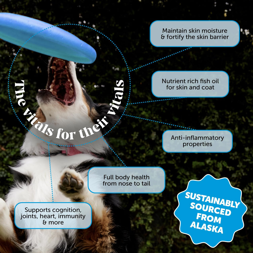 Pet Honesty Aceite de Salmón Wild Alaska con dosificador fácil de aplicar.