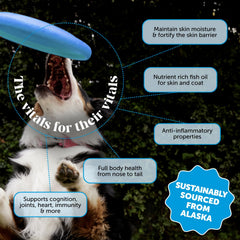 Pet Honesty Aceite de Salmón Wild Alaska con dosificador fácil de aplicar.