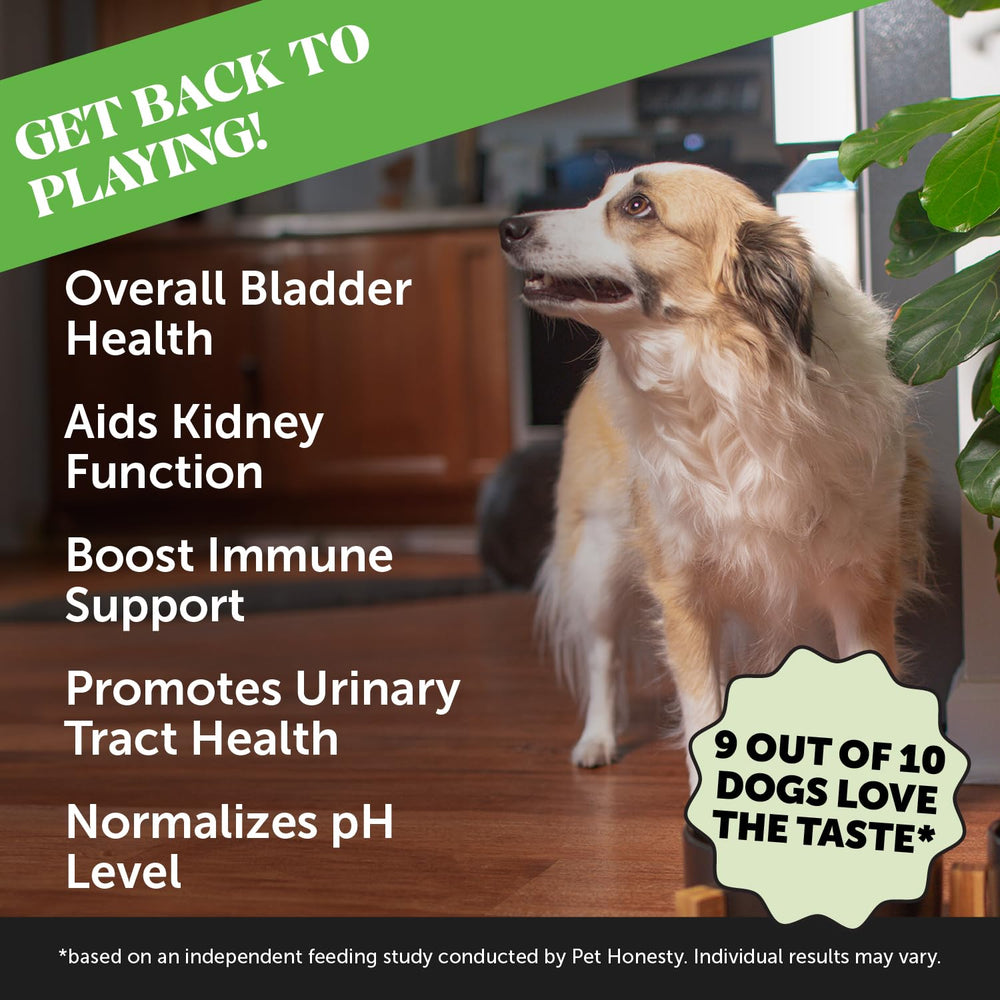 Pet Honesty Bladder Health Cranberry Chews dmannose: podría ayudar al funcionamiento normal del tracto urinario