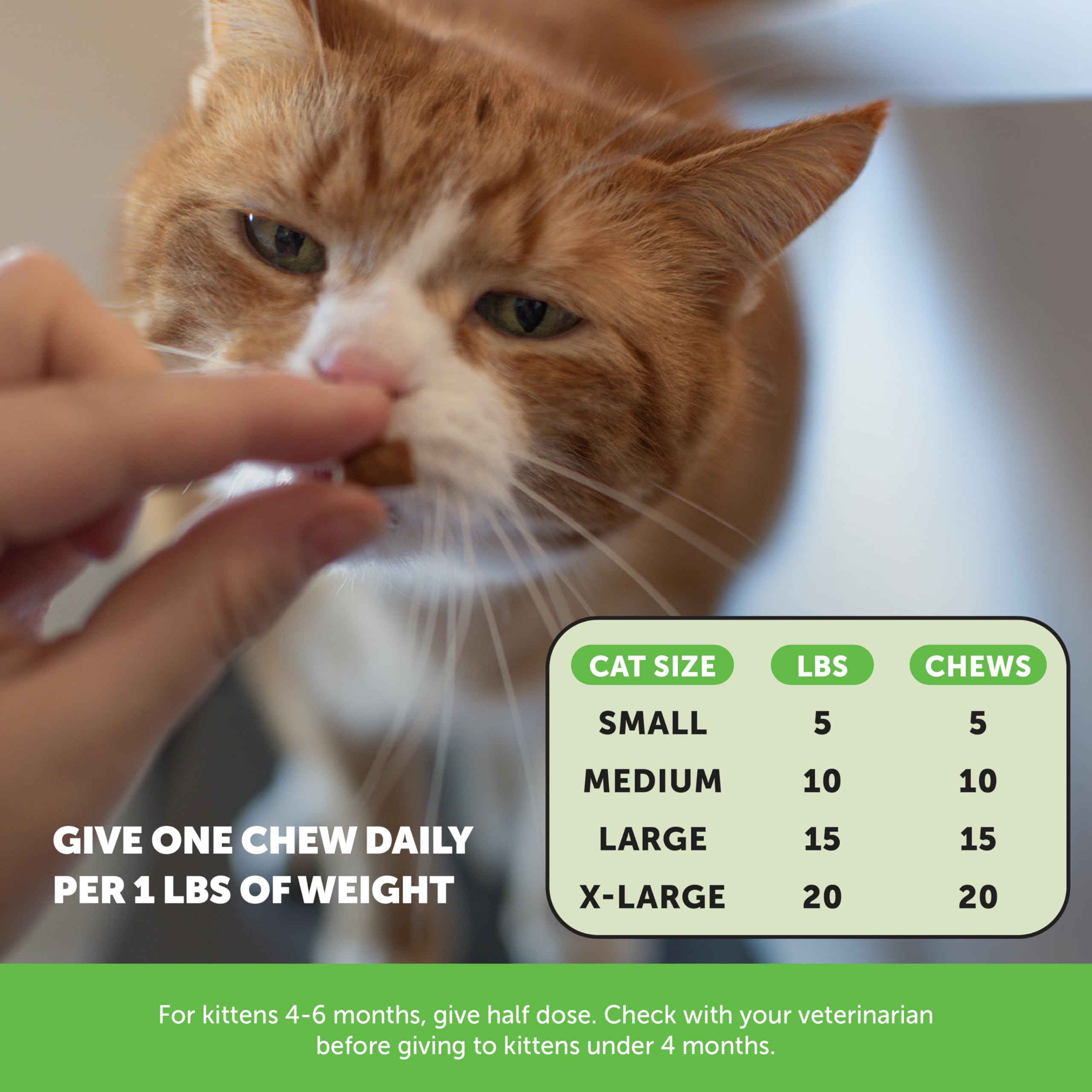 Pet Honesty – équilibre digestif possible grâce à des fibres naturelles.