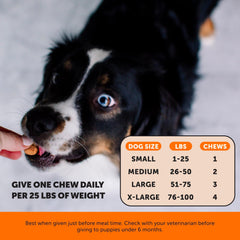 Pet Honesty cúrcuma y MSM para perro, ayuda a movimientos suaves