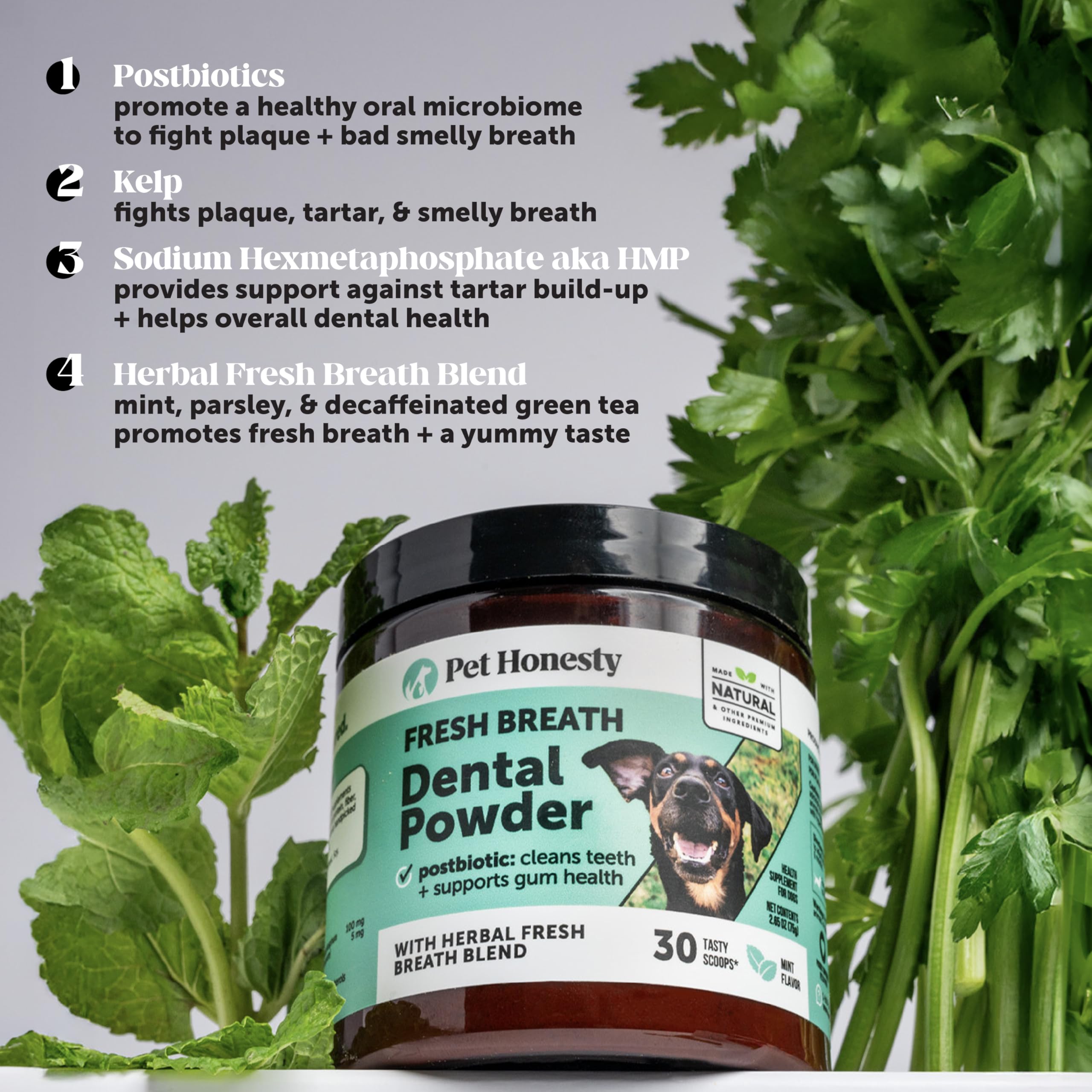 Dientes sanos y encías cuidadas con Pet Honesty Dental Powder y mezcla herbal.