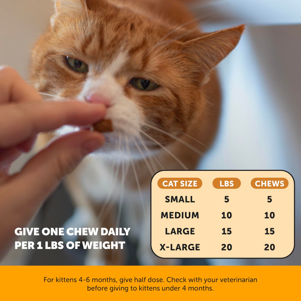 Pet Honesty: opción respaldada por veterinarios para bienestar felino.