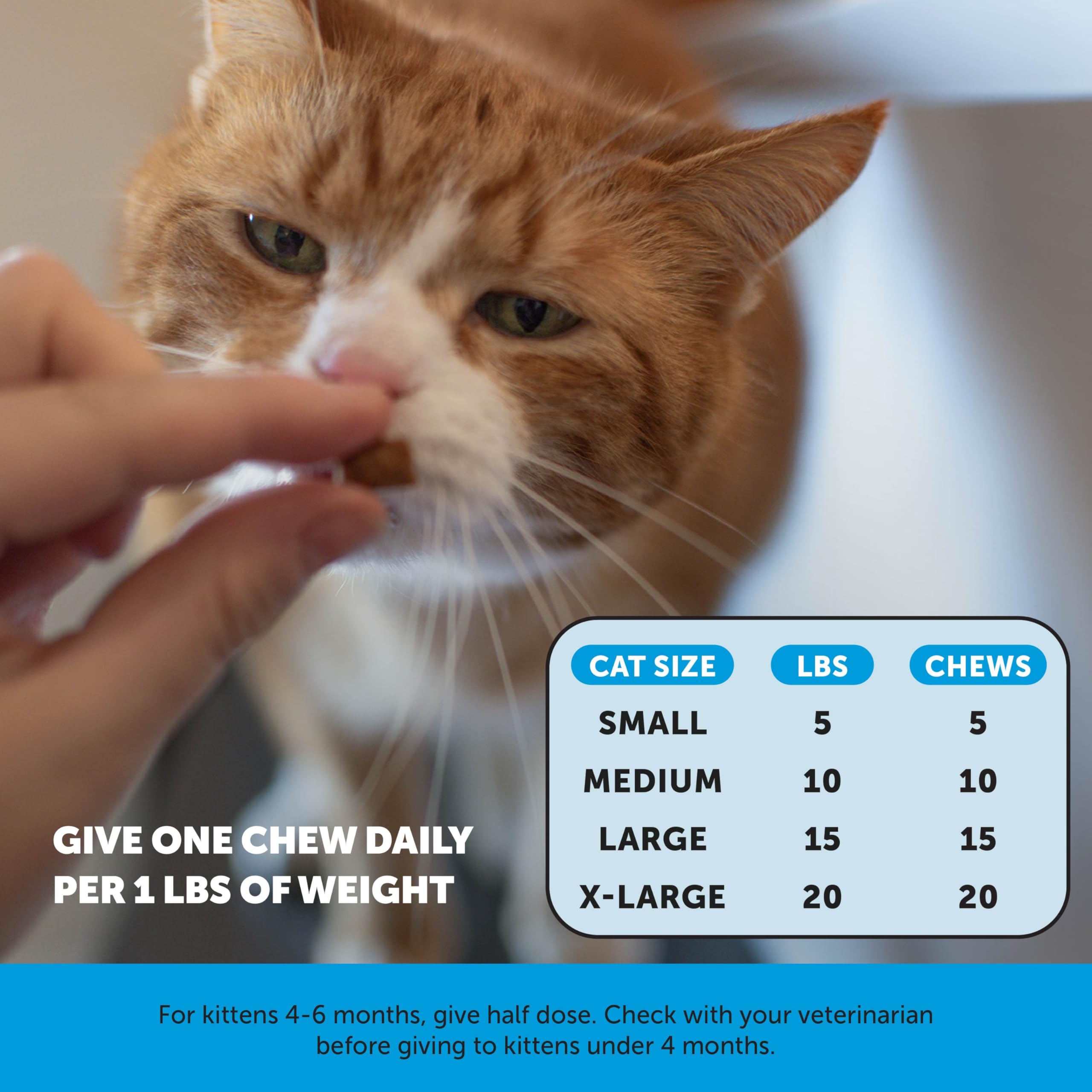 Pet Honesty Gato Cuidado de la Piel Interior: apoyo interno para una piel sana