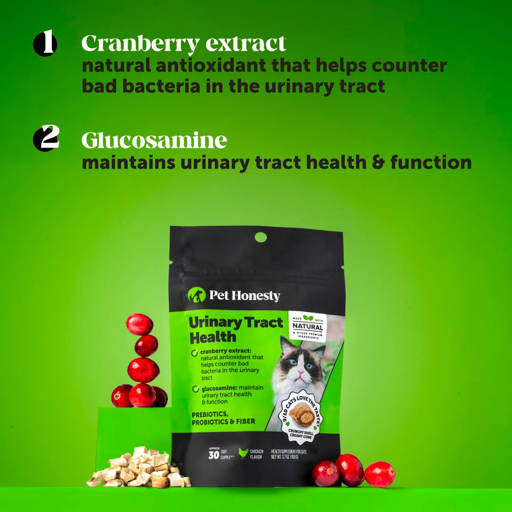 Pet Honesty mejora función de la vejiga del gato con ingredientes naturales