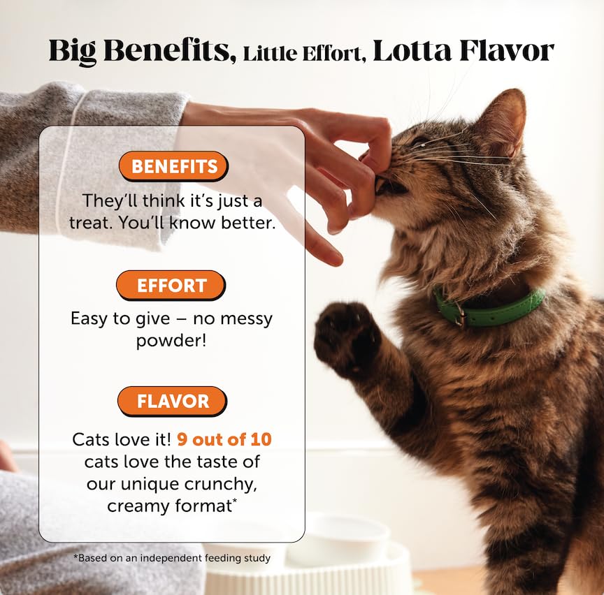 Ingredientes clave de Pet Honesty: glucosamina y condroitina para articulaciones.