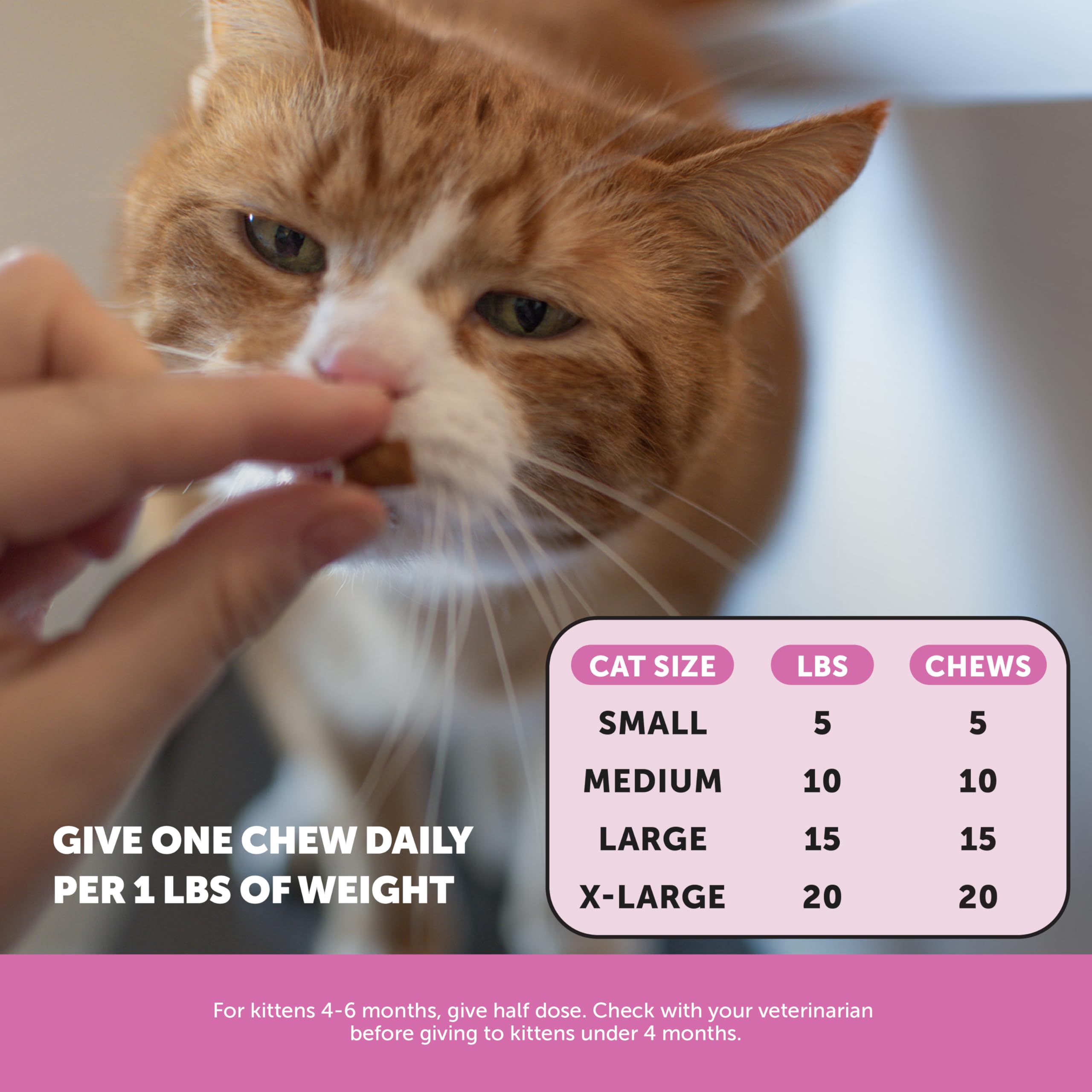 Pet Honesty Gatos Multivitamin, ingredientes clave lisina para inmunidad