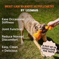 Pet Honesty etiqueta con glucosamina y condroitina, apoyo a articulaciones y flexibilidad.