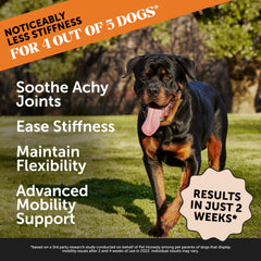 Pet Honesty Hip & Joint Health Max Strength masticables para perros, sabor apetecible para uso diario.