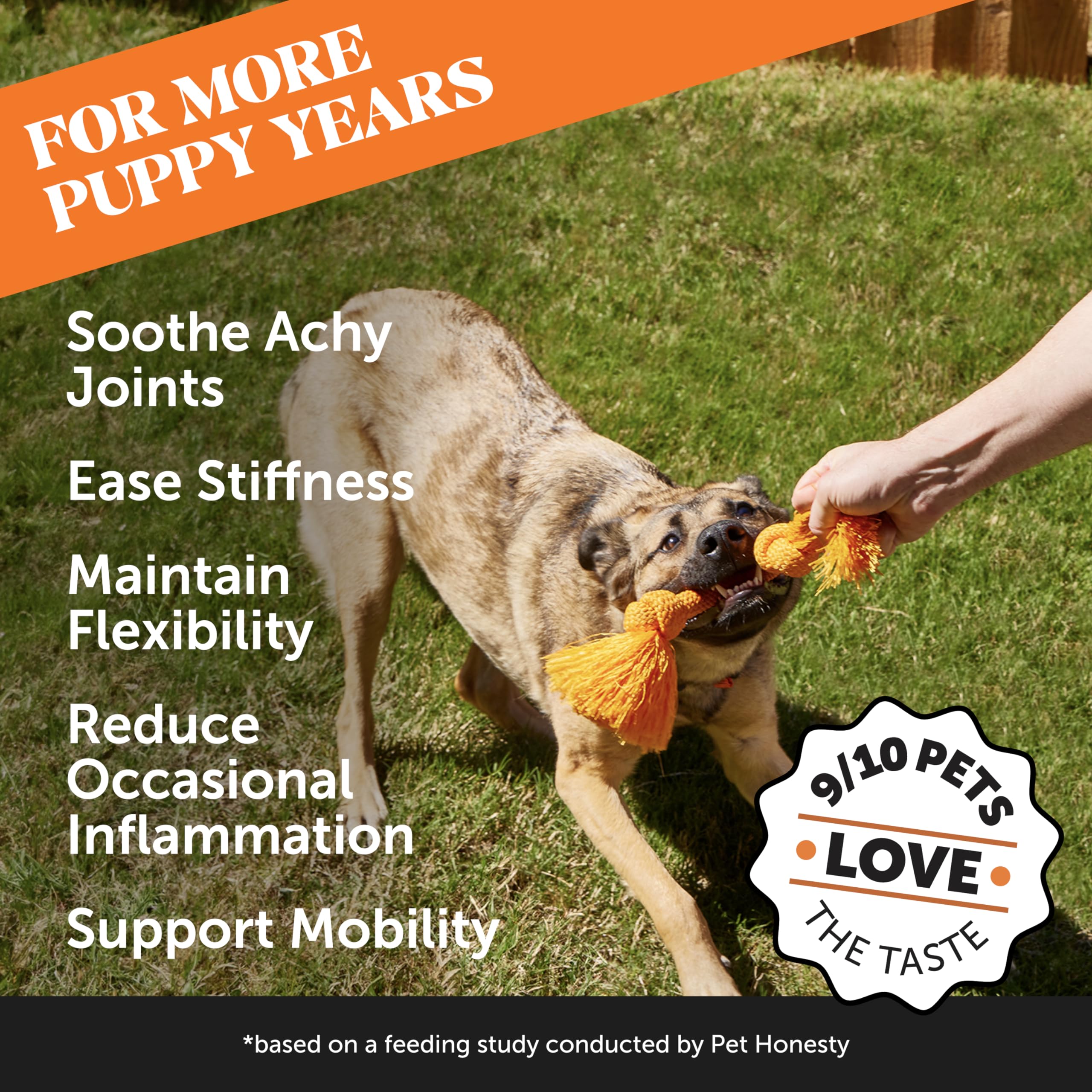Pet Honesty Hemp Hip & Joint: masticables sabor pato, ideal para uso diario