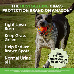 Pet Honesty masticables sabor pato, palatables para perros y apoyo digestivo.