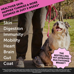 Pet Honesty Dog Multivitamin Max Strength — mordida suave sabor pollo para perros.