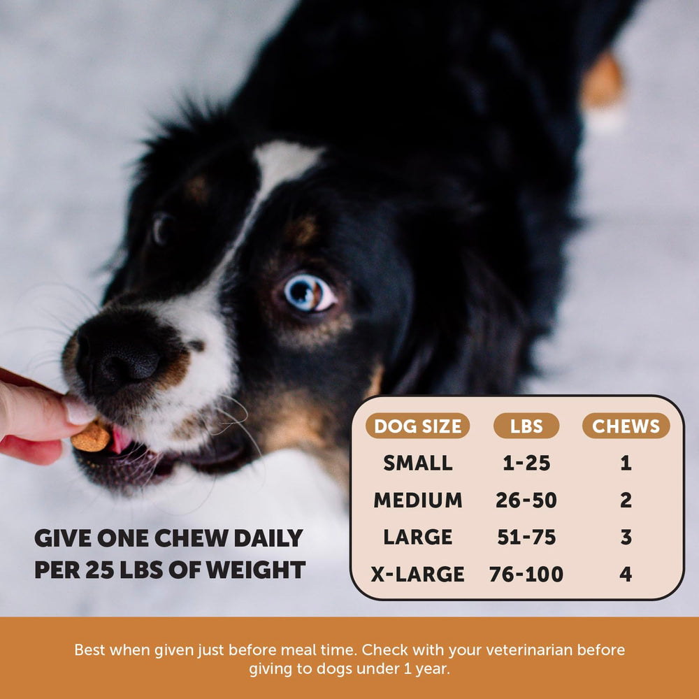 Pet Honesty Outdoor Defense levadura de cerveza para soporte inmunológico canino