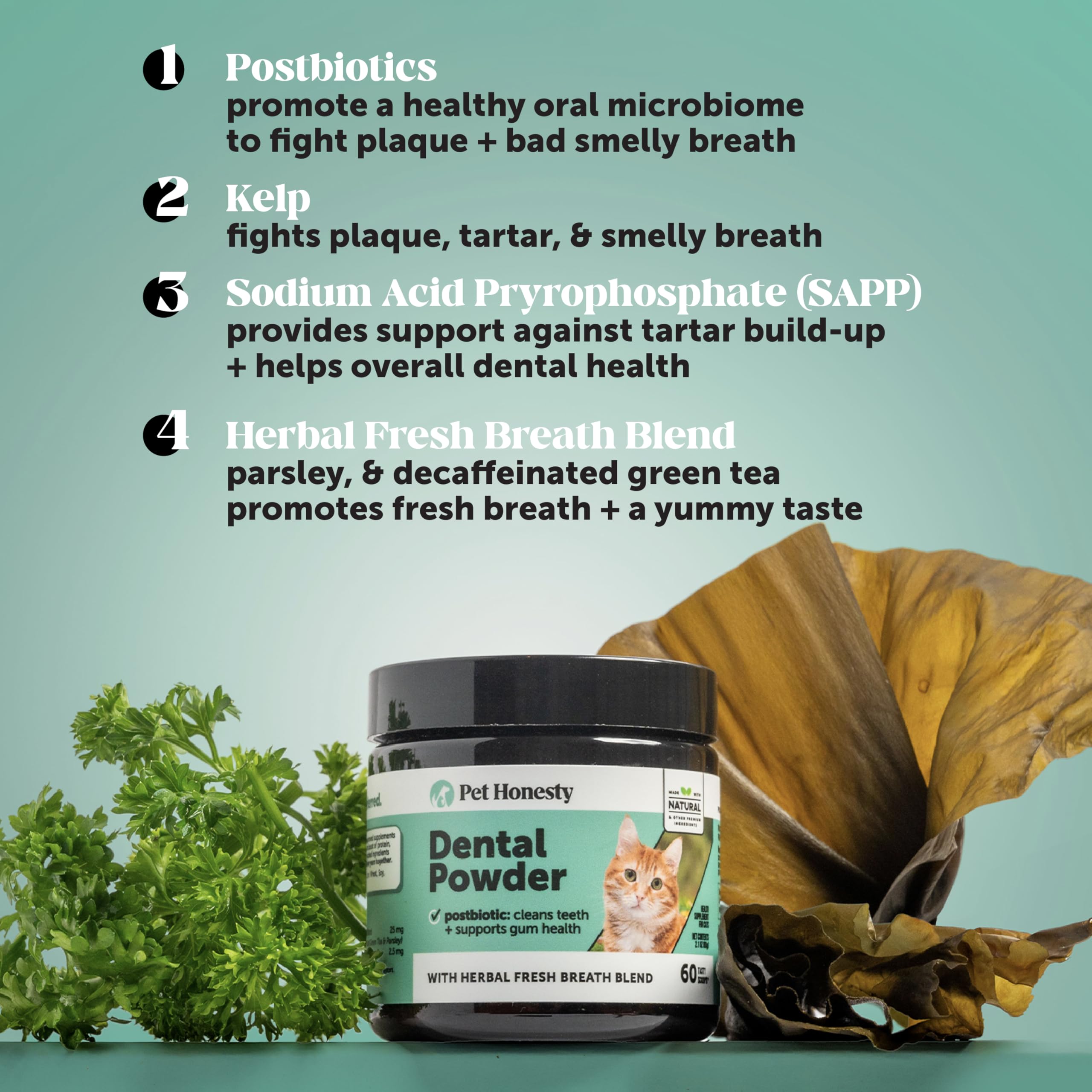 Pet Honesty postbioticos kelp perejil apoyo natural a la salud bucal