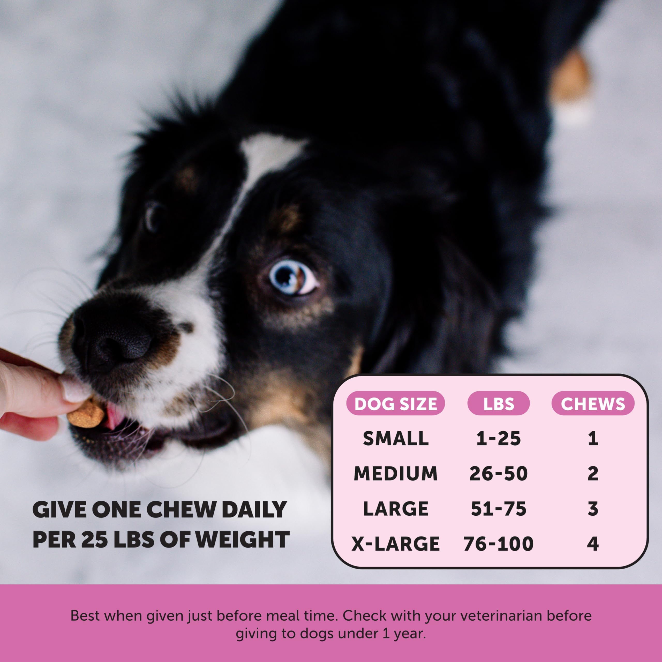 Probióticos para digestión equilibrada en perros.