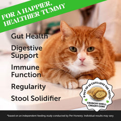 Gato saboreando Pet Honesty probióticos sabor pollo crujientes para digestión.