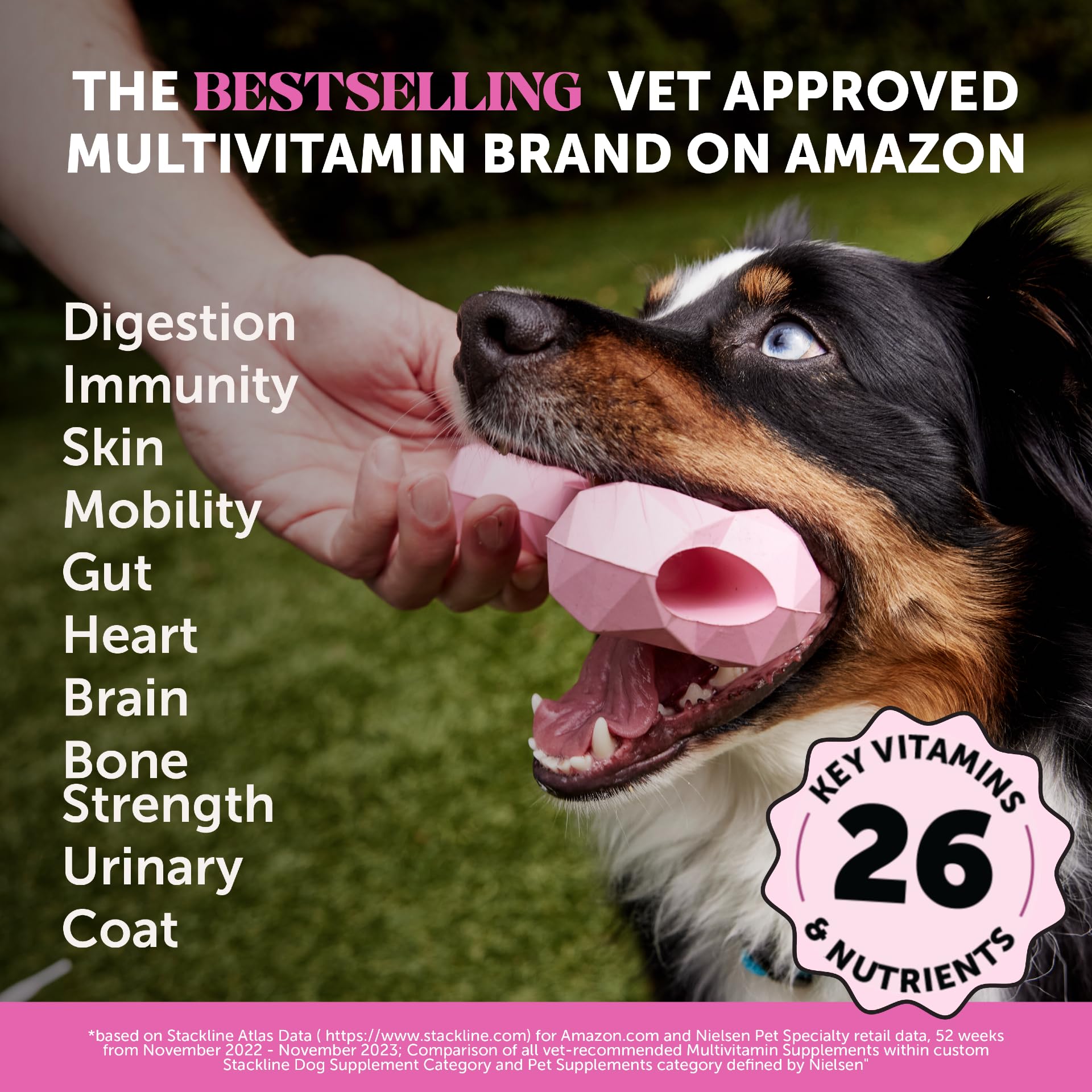 Pet Honesty probióticos para perro, apoyo digestivo y flora intestinal equilibrada.