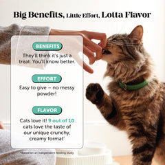 Pet Honesty respiro fresco gato aroma suave que agrada