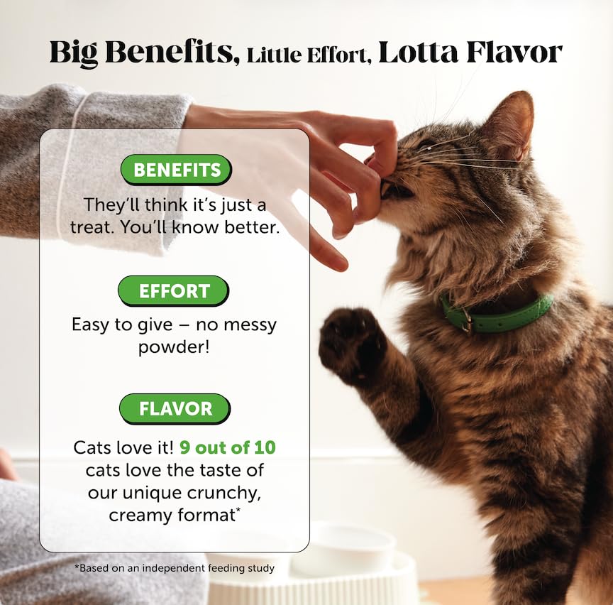 Pet Honesty: sabor pollo y aceptación entre gatos