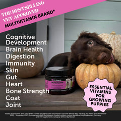 Pet Honesty Sabor tocino Hickory para cachorros felices.