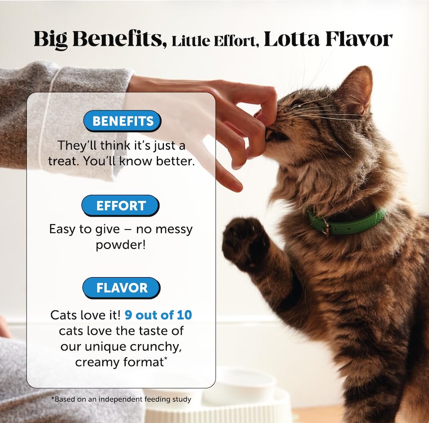 Pet Honesty vitaminas C y E para manto saludable