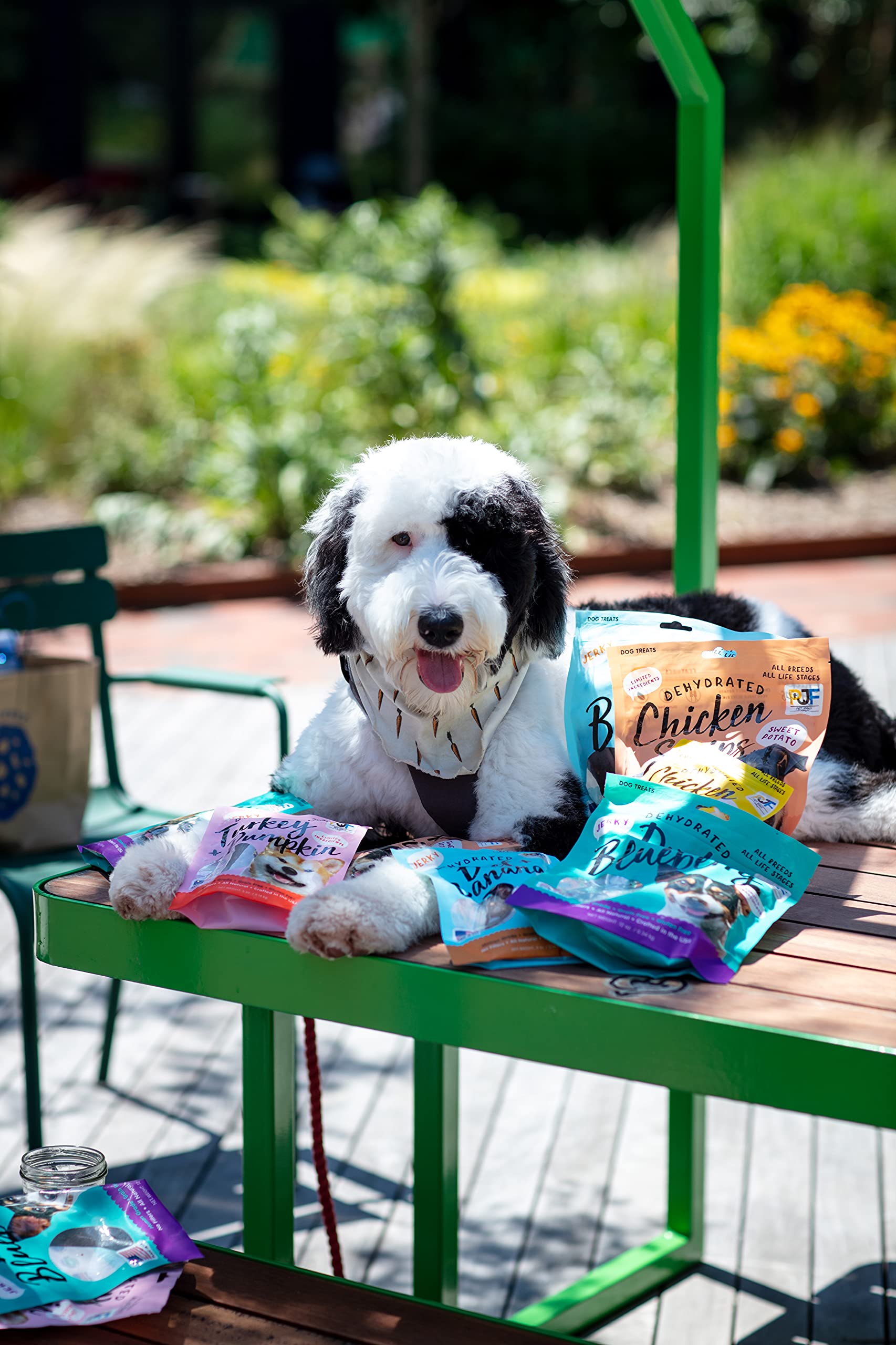 Pet Jerky Factory bite-size training treat ideal for quick rewards.
