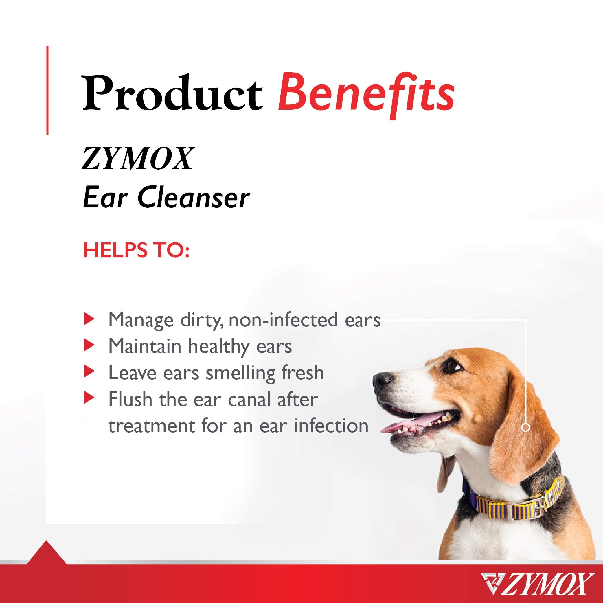 Aplicación suave de Zymox para limpieza de oídos en perros y gatos.