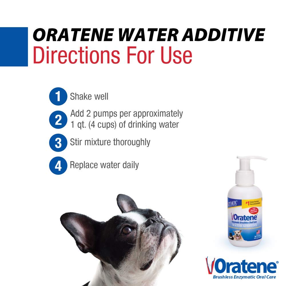 Zymox Oratene envase compacto de 4 oz para viajar.