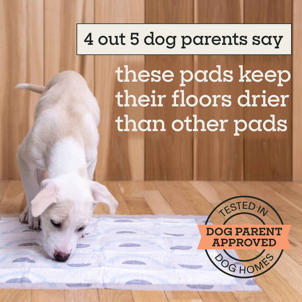 Pet Life Unlimited Smart Prints control de olor probiótico para higiene diaria