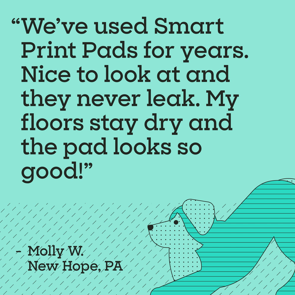 Pet Life Unlimited Smart Prints XL, uso doméstico discreto y seguro