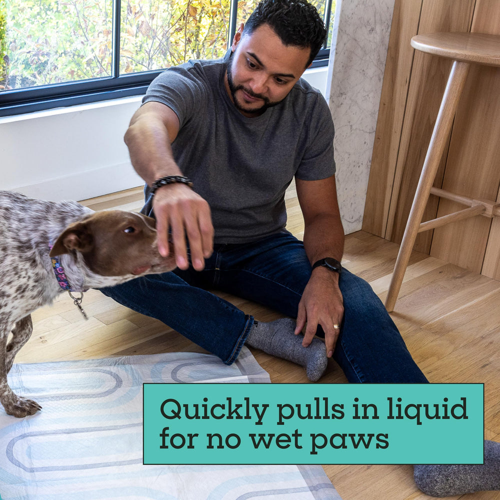 Pet Life Unlimited Smart Prints XL, perfecto para entrenamiento de perros grandes.